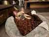 Kringle - Adopt Me! - Photo 2