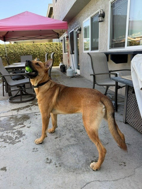 Frankie photo 2