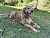 Macy