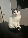 Maeve