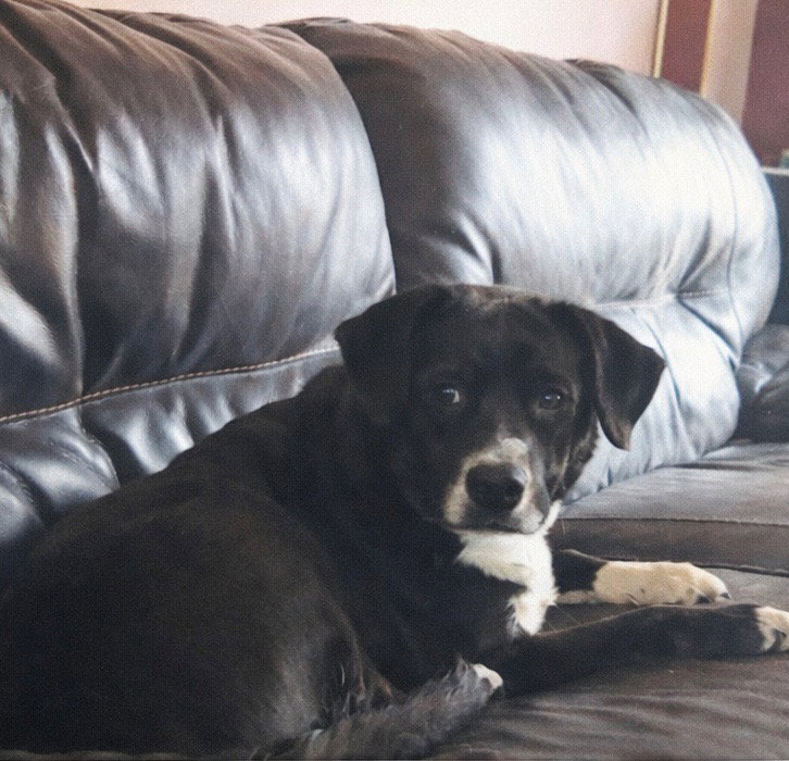 Rosie