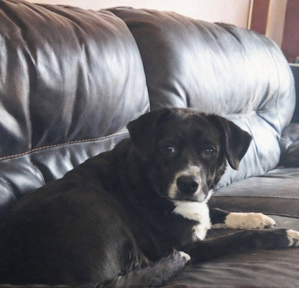 Rosie