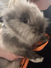 Benny
