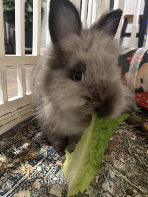 Benny