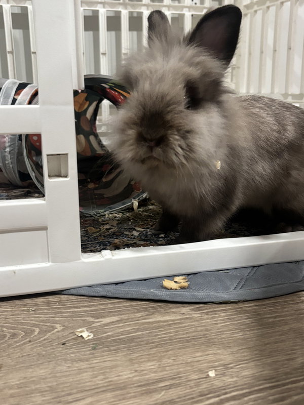 Benny