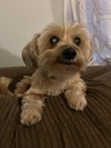 Delilah & Daisy