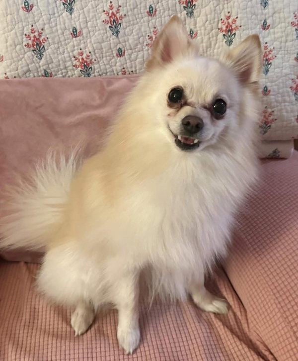 Casper