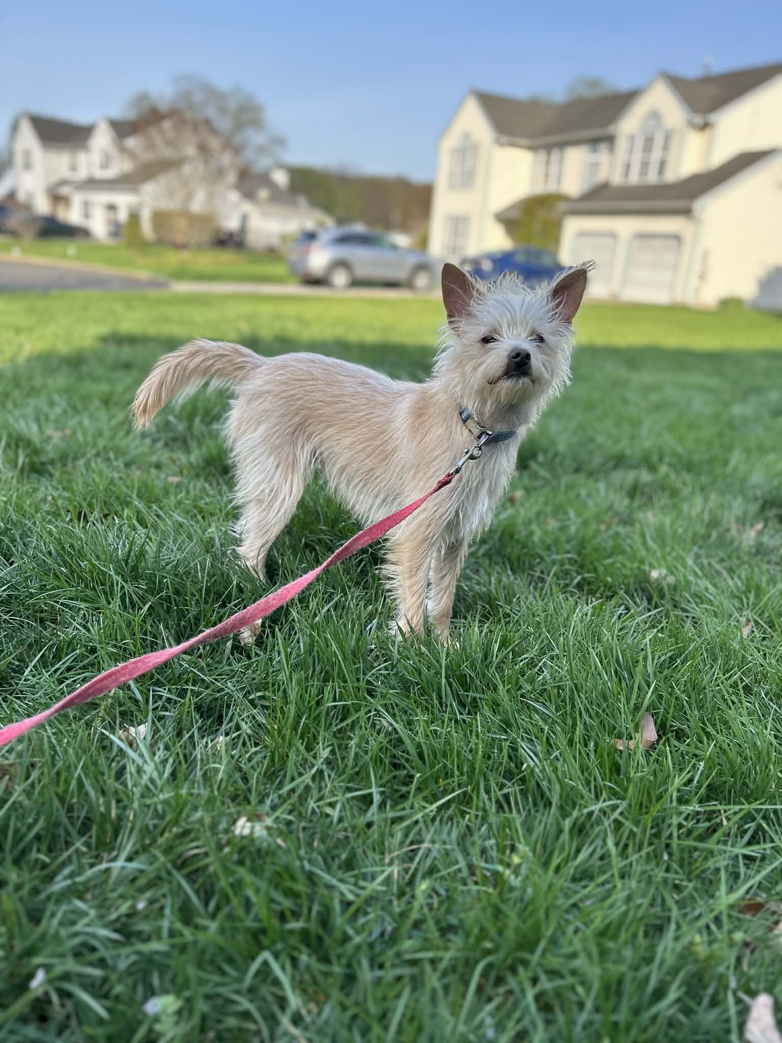 Kaiser