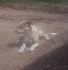 Neelix - Photo 3