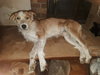 Neelix - Photo 4