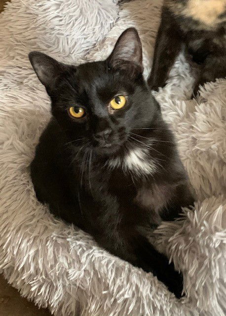 Binx