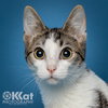 Rocket - Photo 3