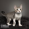 Chessie - Photo 3