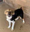 Penelope - Photo 1