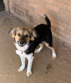 Penelope - Photo 2