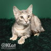 Rhonda - Photo 1