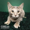 Rhonda - Photo 3