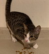 Sebastian - Photo 2