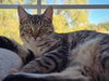 Marcy - Photo 1