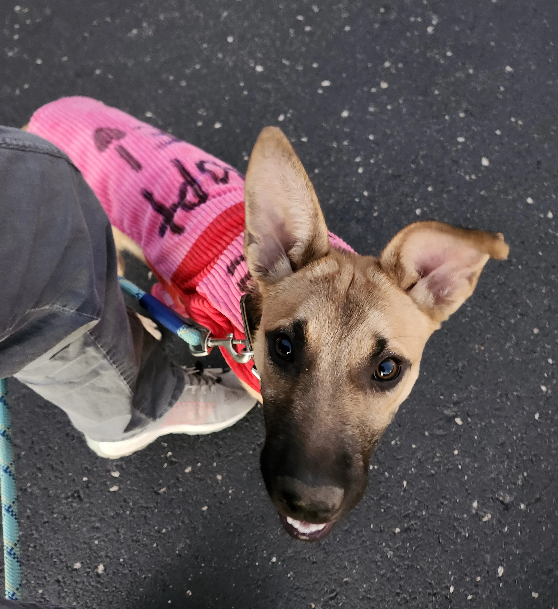 Ellie