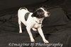 Colby - Photo 1