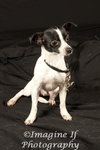Colby - Photo 2