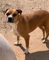 Daisy - Photo 4