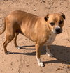 Daisy - Photo 6