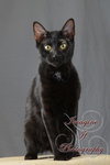 Bob - Photo 2