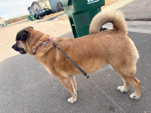Sam