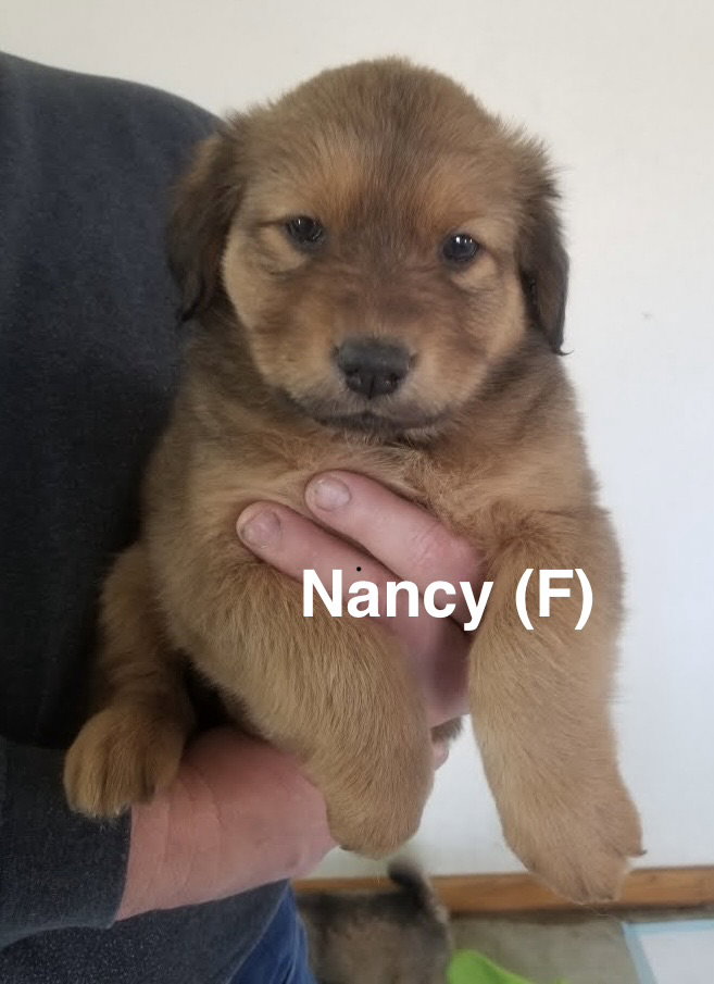 Nancy