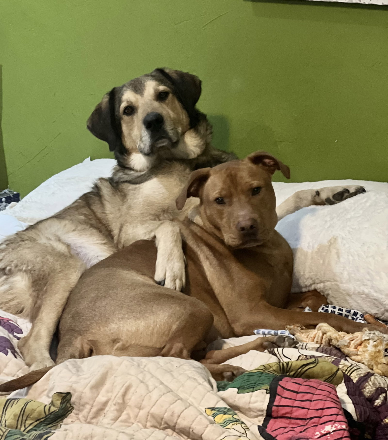 Tucker & Steph