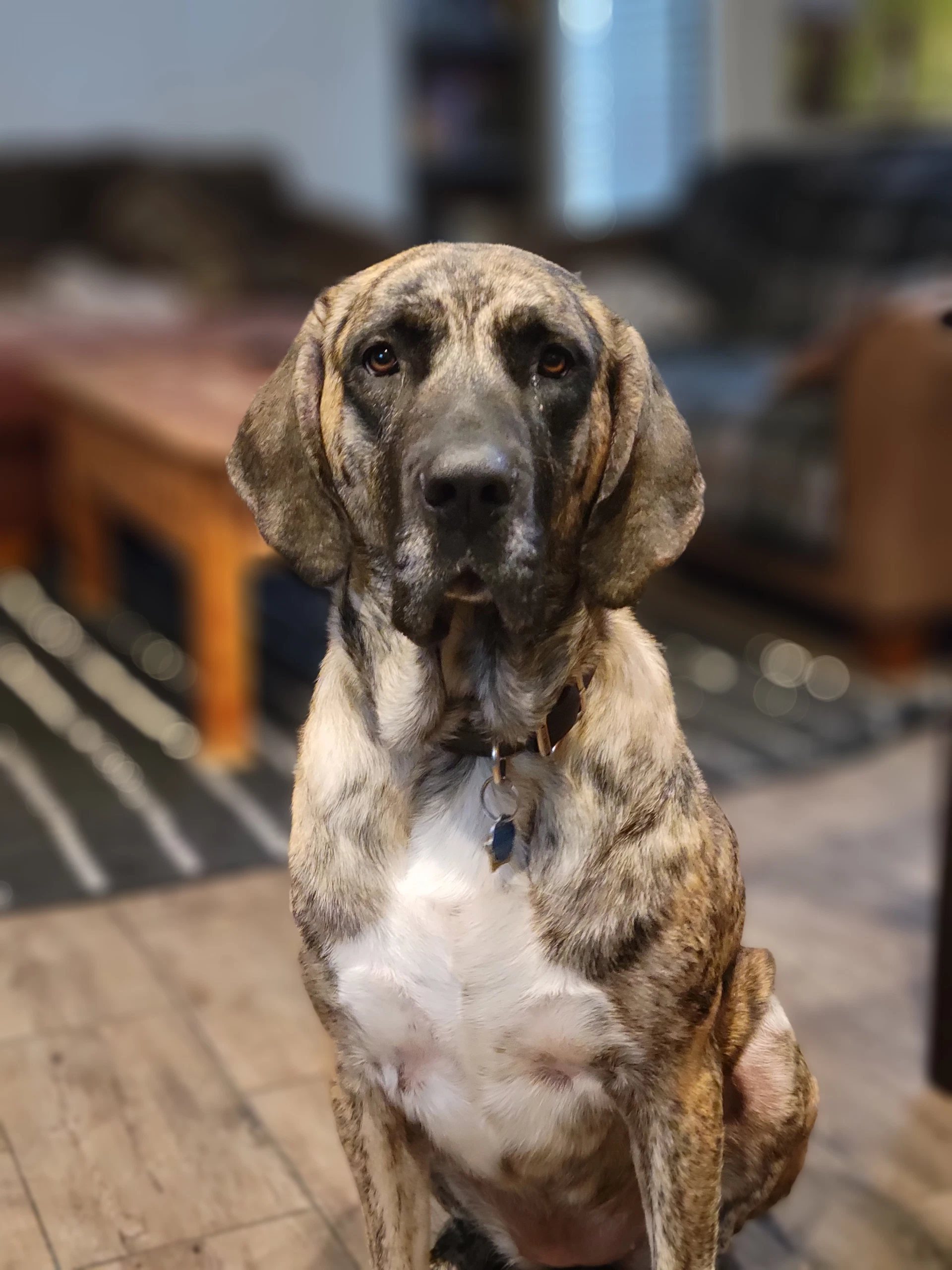 Marley