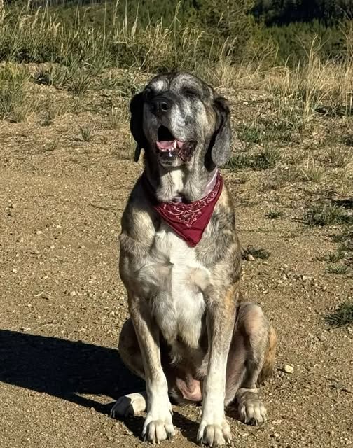 Marley