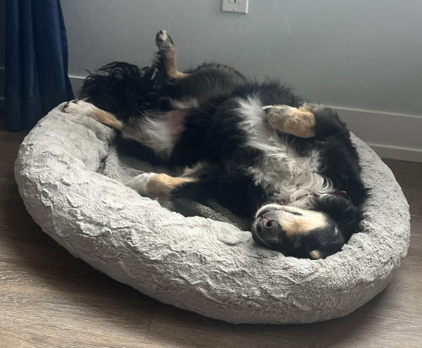 Milo