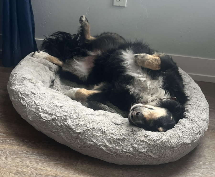 Milo