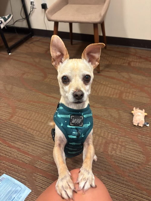 Jax