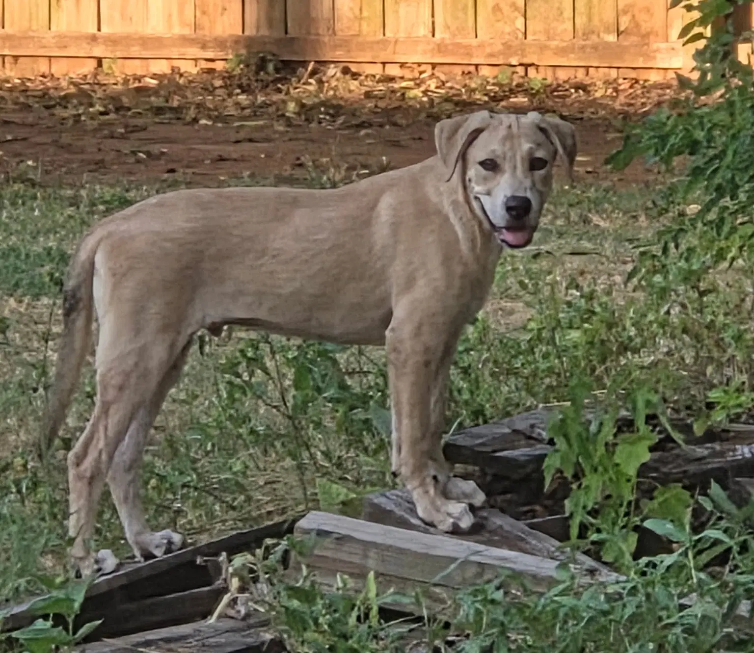 Tex image 3
