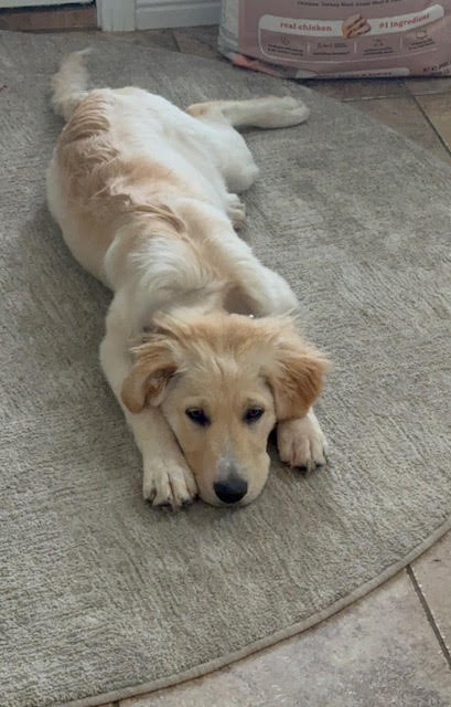 Lola photo 2