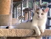Abbie - Photo 3