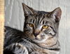 Bullseye - Photo 2
