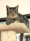 Bullseye - Photo 3