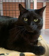 Orbit - Photo 3
