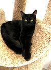 Orbit - Photo 2