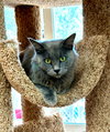 Margaret Mary - Photo 2