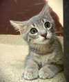 Umi - Photo 4