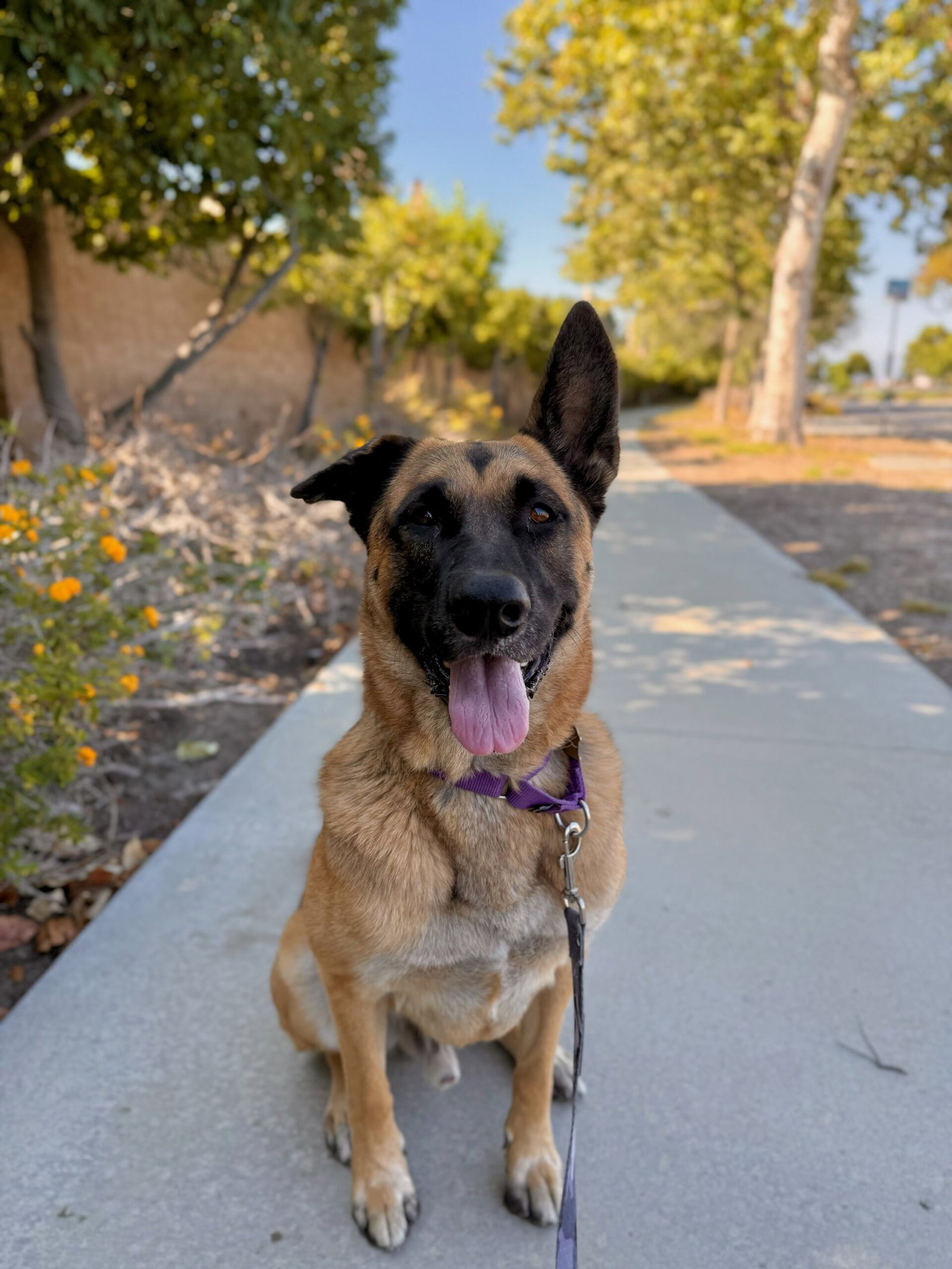 Gunther Image