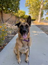 Gunther - Photo 1