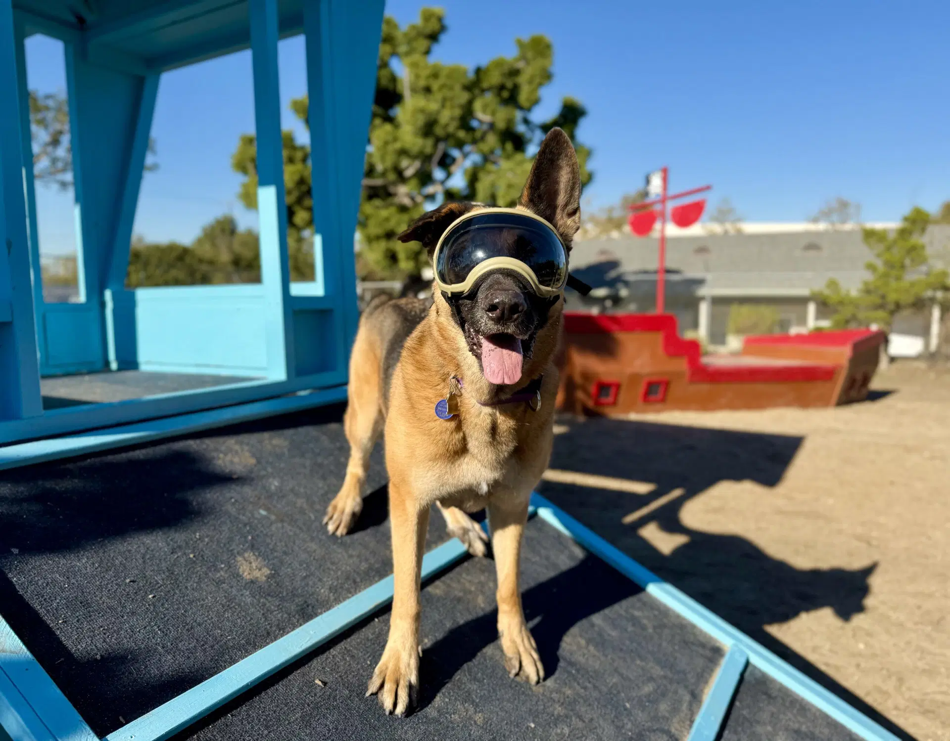 Gunther image 2