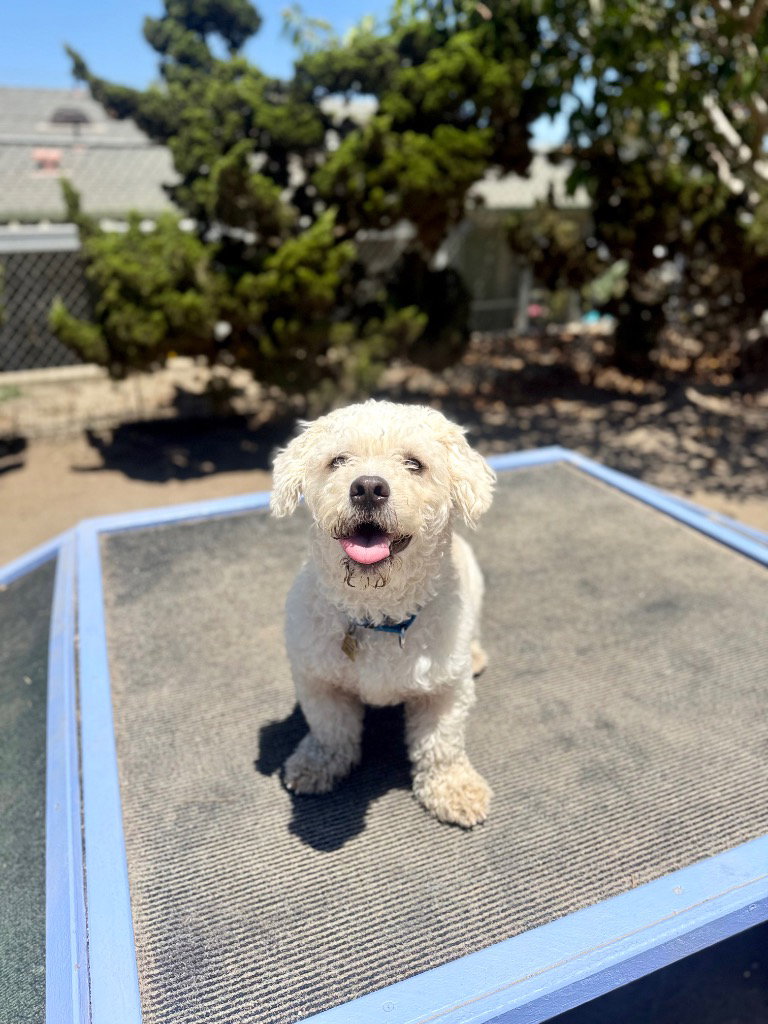 Milo